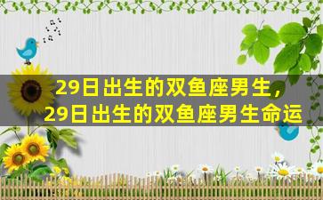 29日出生的双鱼座男生，29日出生的双鱼座男生命运