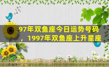 97年双鱼座今日运势号码，1997年双鱼座上升星座