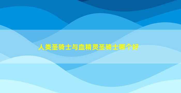 人类圣骑士与血精灵圣骑士哪个好