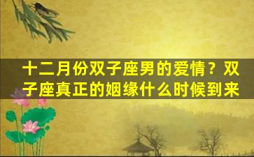 十二月份双子座男的爱情？双子座真正的姻缘什么时候到来