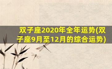 双子座2020年全年运势(双子座9月至12月的综合运势)