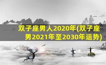 双子座男人2020年(双子座男2021年至2030年运势)