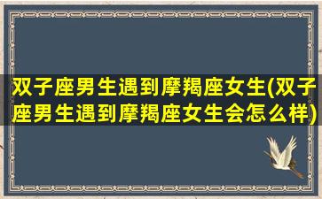 双子座男生遇到摩羯座女生(双子座男生遇到摩羯座女生会怎么样)