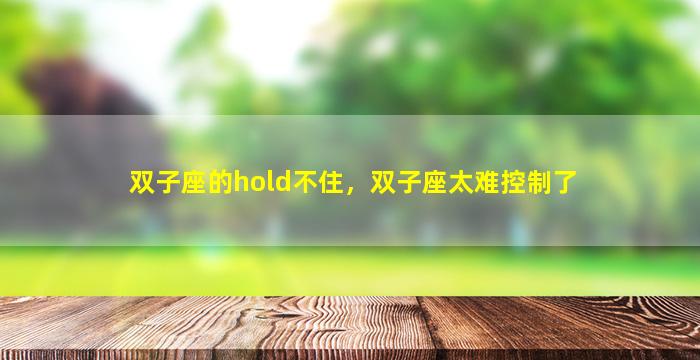 双子座的hold不住，双子座太难控制了