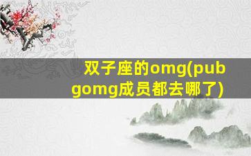 双子座的omg(pubgomg成员都去哪了)