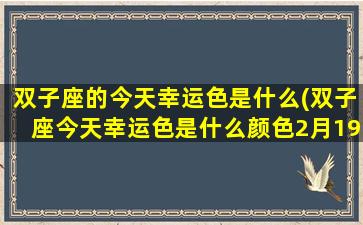 双子座的今天幸运色是什么(双子座今天幸运色是什么颜色2月19日)