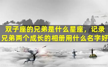 双子座的兄弟是什么星座，记录兄弟两个成长的相册用什么名字好