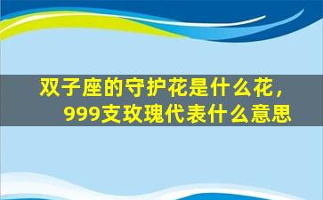 双子座的守护花是什么花，999支玫瑰代表什么意思