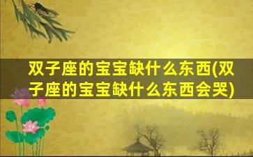 双子座的宝宝缺什么东西(双子座的宝宝缺什么东西会哭)