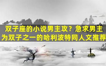 双子座的小说男主攻？急求男主为双子之一的哈利波特同人文推荐