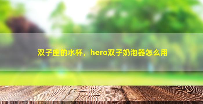 双子座的水杯，hero双子奶泡器怎么用