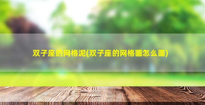 双子座的网格泥(双子座的网格画怎么画)