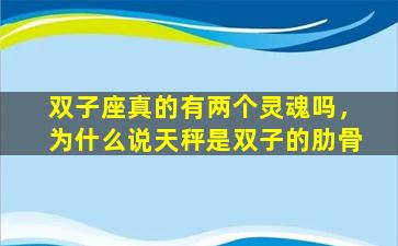 双子座真的有两个灵魂吗，为什么说天秤是双子的肋骨