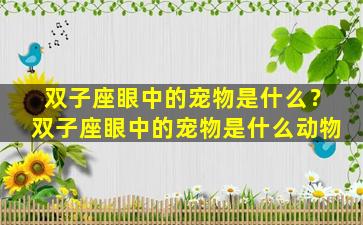 双子座眼中的宠物是什么？双子座眼中的宠物是什么动物