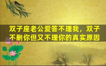 双子座老公爱答不理我，双子不删你但又不理你的真实原因