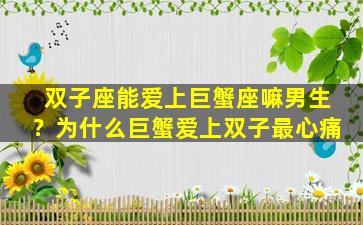 双子座能爱上巨蟹座嘛男生？为什么巨蟹爱上双子最心痛