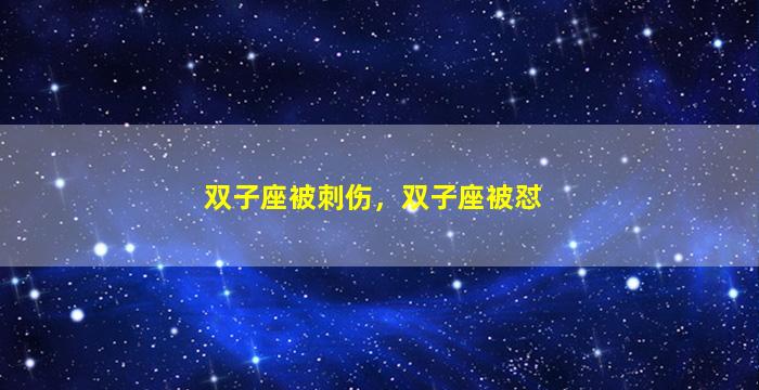 双子座被刺伤，双子座被怼