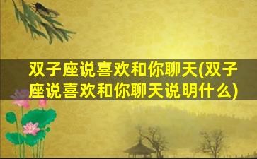 双子座说喜欢和你聊天(双子座说喜欢和你聊天说明什么)