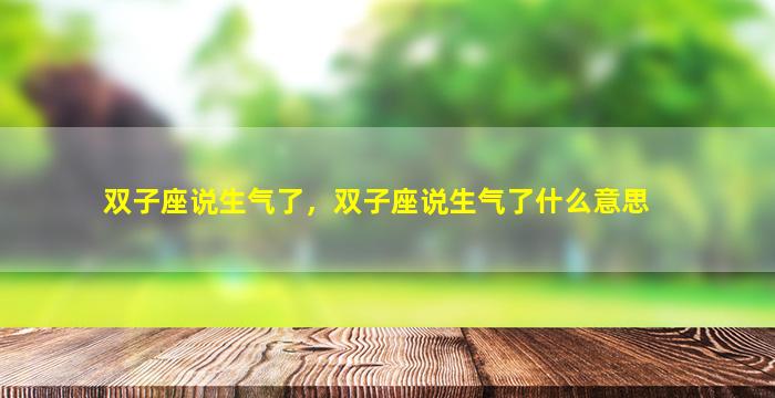 双子座说生气了，双子座说生气了什么意思