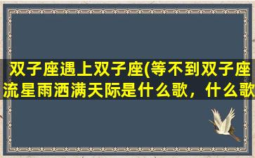 双子座遇上双子座(等不到双子座流星雨洒满天际是什么歌，什么歌曲的歌词)