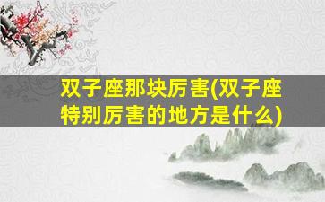 双子座那块厉害(双子座特别厉害的地方是什么)