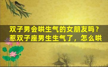 双子男会哄生气的女朋友吗？惹双子座男生生气了，怎么哄