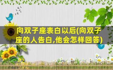 向双子座表白以后(向双子座的人告白,他会怎样回答)