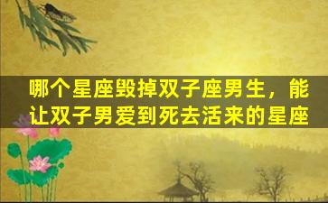 哪个星座毁掉双子座男生，能让双子男爱到死去活来的星座