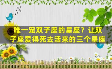 唯一宠双子座的星座？让双子座爱得死去活来的三个星座