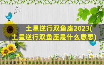 土星逆行双鱼座2023(土星逆行双鱼座是什么意思)