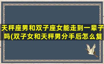 天秤座男和双子座女能走到一辈子吗(双子女和天秤男分手后怎么复合)