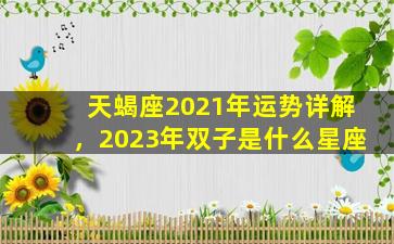 天蝎座2021年运势详解，2023年双子是什么星座