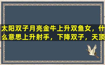 太阳双子月亮金牛上升双鱼女，什么意思上升射手，下降双子，天顶处女，天底双鱼