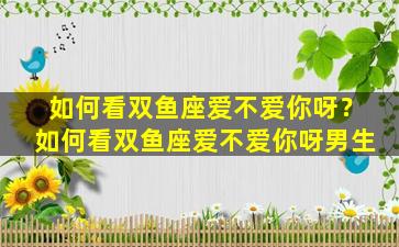 如何看双鱼座爱不爱你呀？如何看双鱼座爱不爱你呀男生