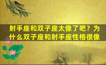 射手座和双子座太像了吧？为什么双子座和射手座性格很像