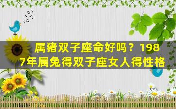 属猪双子座命好吗？1987年属兔得双子座女人得性格