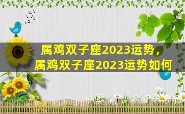 属鸡双子座2023运势，属鸡双子座2023运势如何