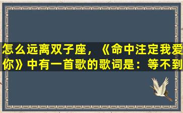 怎么远离双子座，《命中注定我爱你》中有一首歌的歌词是：等不到双子座，流星雨……请问这首歌叫什么名字