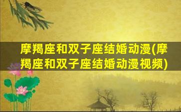 摩羯座和双子座结婚动漫(摩羯座和双子座结婚动漫视频)