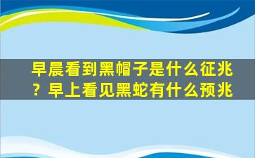 早晨看到黑帽子是什么征兆？早上看见黑蛇有什么预兆