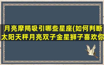 月亮摩羯吸引哪些星座(如何判断太阳天秤月亮双子金星狮子喜欢你)