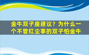 金牛双子座建议？为什么一个不管红尘事的双子怕金牛